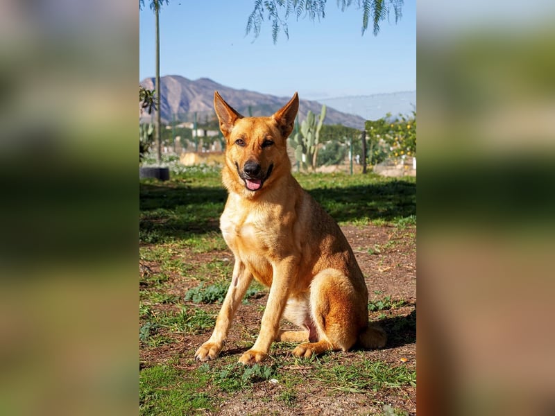 ❤️ AQUILES ❤️