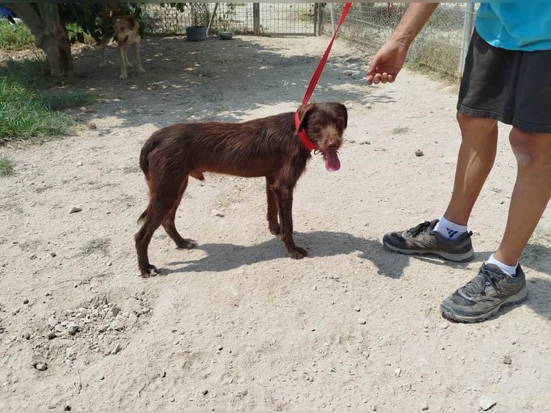 ❤️TINTO❤️
