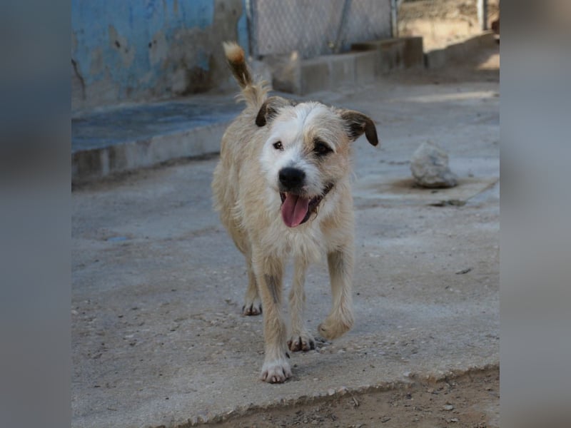 ❤️ CORCHO ❤️