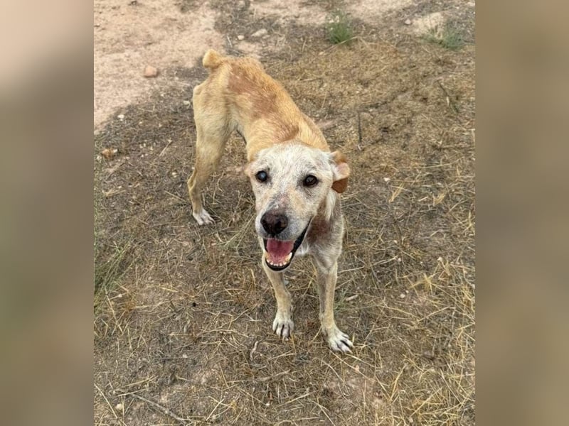 ❤️RA❤️    ❗NOTFALL❗