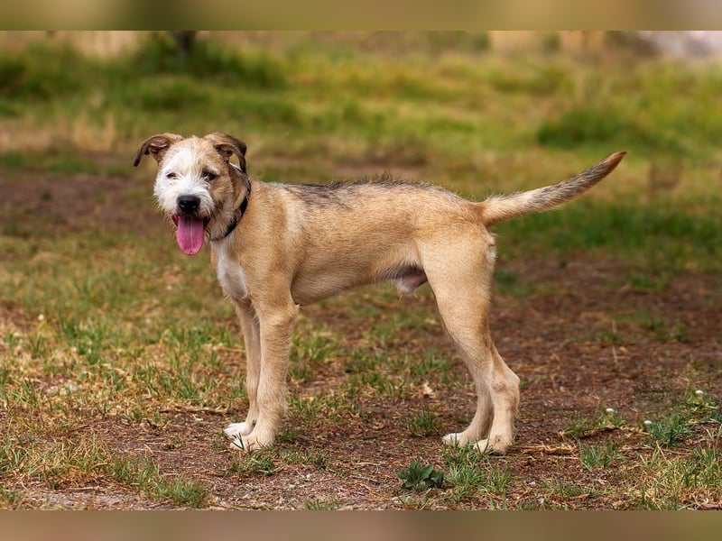 ❤️ CORCHO ❤️