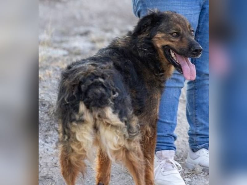 ❤️ DUQUESA ❤️