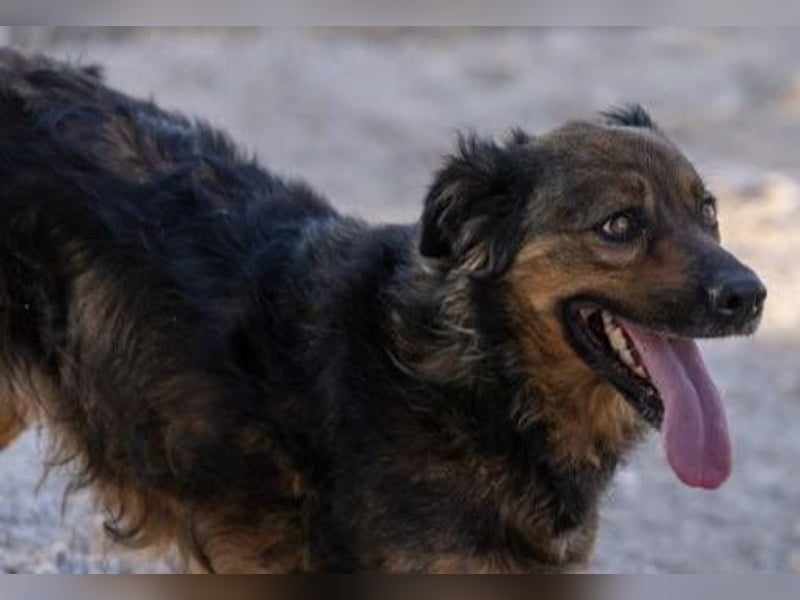 ❤️ DUQUESA ❤️