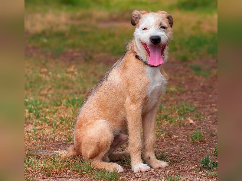 ❤️ CORCHO ❤️