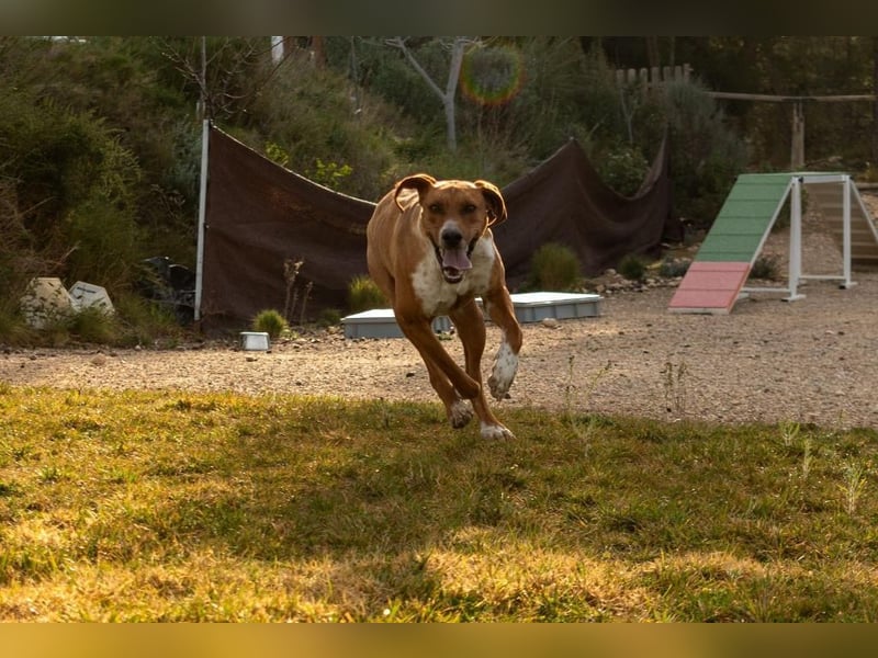 ❤️MILO❤️