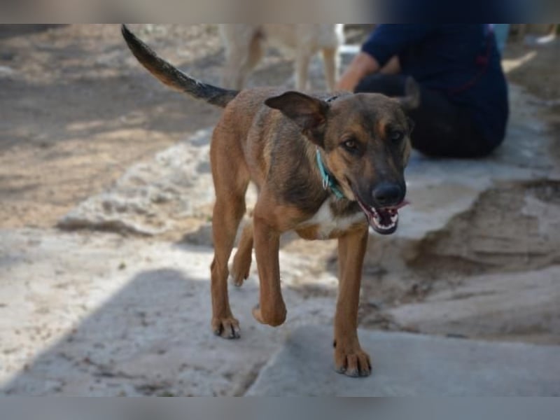 ❤️ CAPITANA ❤️