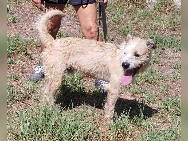 ❤️ CORCHO ❤️