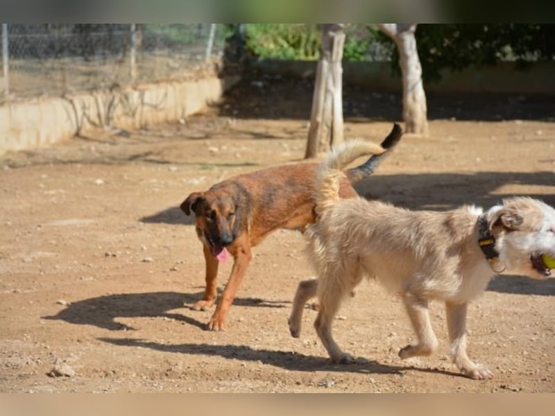 ❤️ CAPITANA ❤️