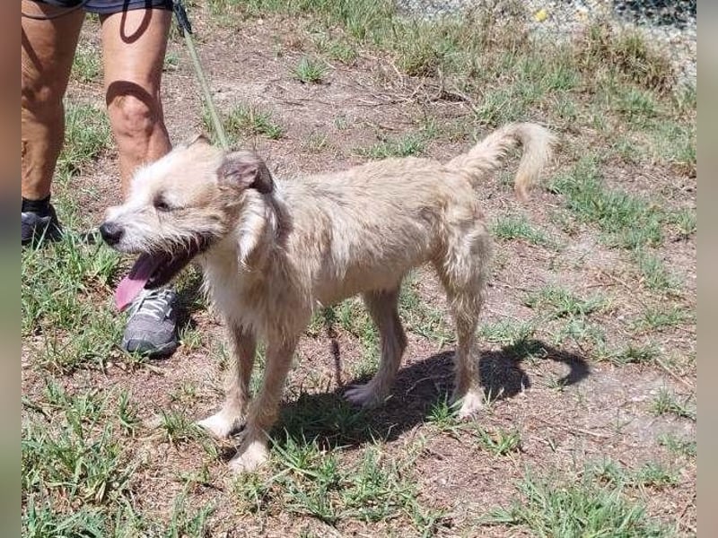 ❤️ CORCHO ❤️