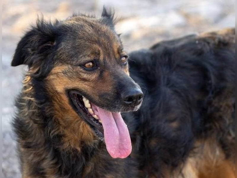 ❤️ DUQUESA ❤️