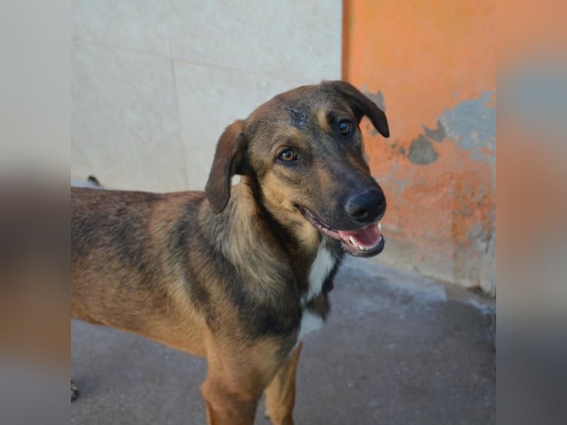 ❤️ CAPITANA ❤️