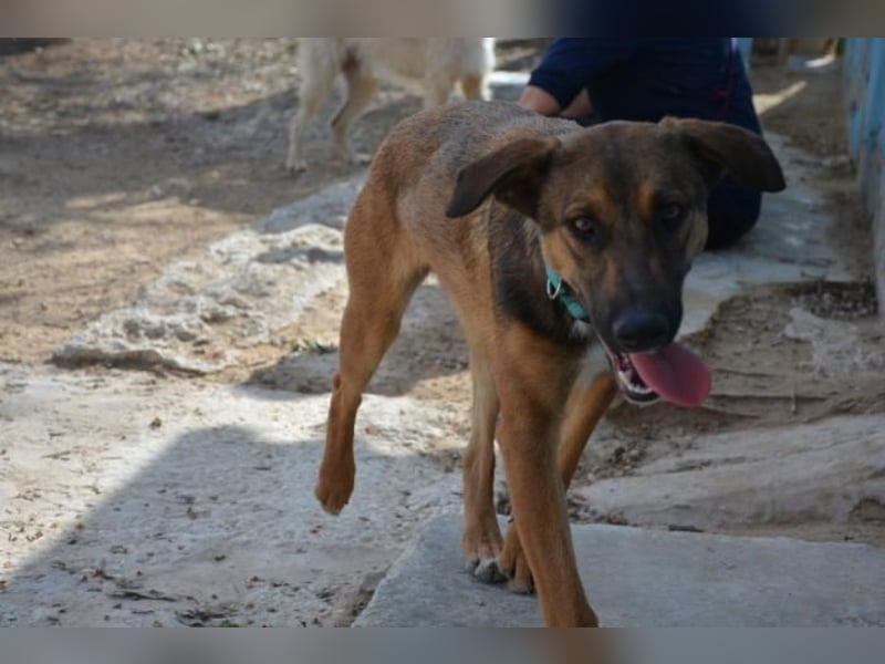 ❤️ CAPITANA ❤️