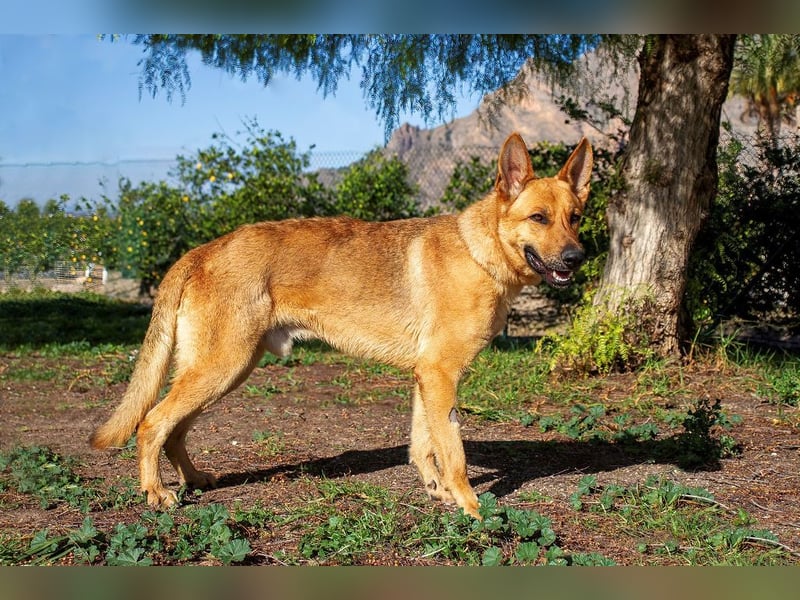 ❤️ AQUILES ❤️