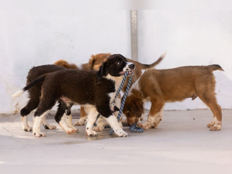 ❤️OZZY❤️