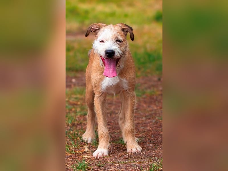 ❤️ CORCHO ❤️