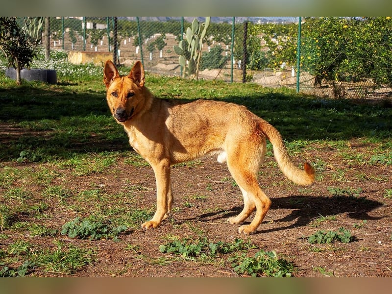 ❤️ AQUILES ❤️