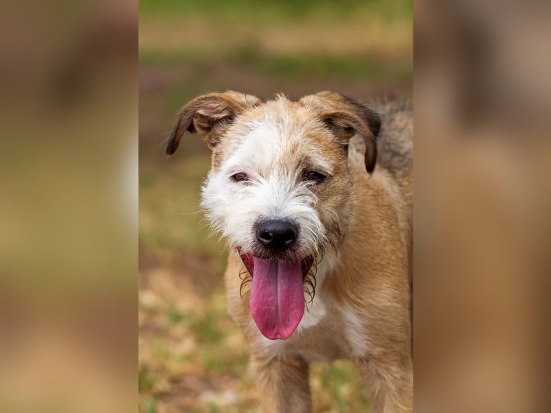 ❤️ CORCHO ❤️