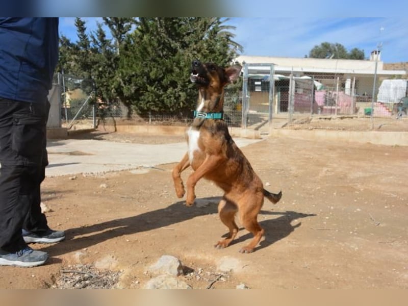 ❤️ CAPITANA ❤️