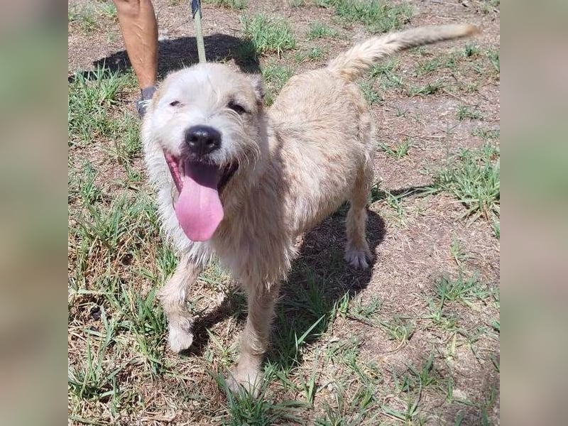 ❤️ CORCHO ❤️