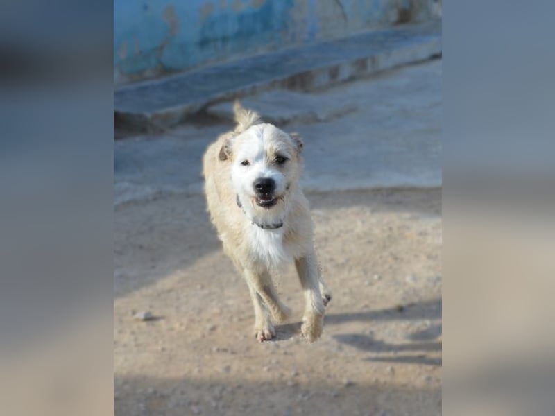 ❤️ CORCHO ❤️