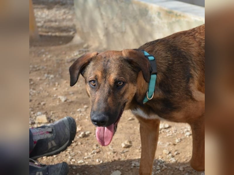 ❤️ CAPITANA ❤️