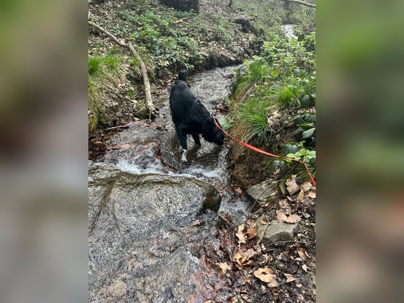 Suki aus Wuppertal