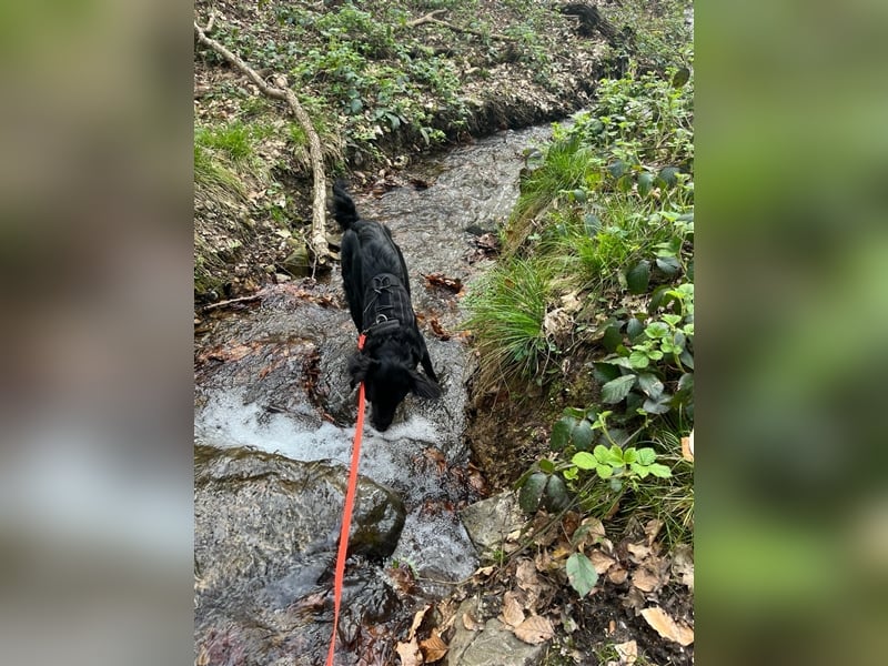 Suki aus Wuppertal