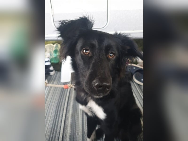 Suki aus Wuppertal