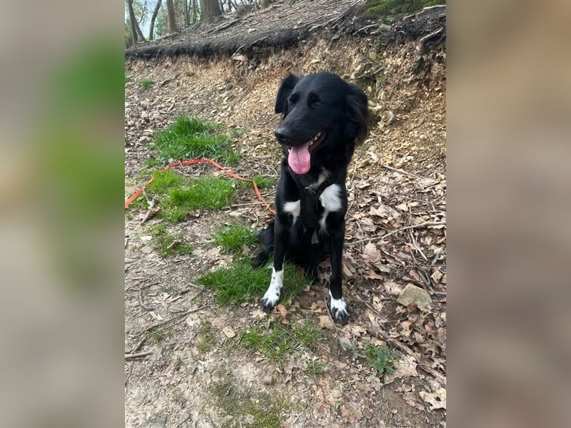 Suki aus Wuppertal