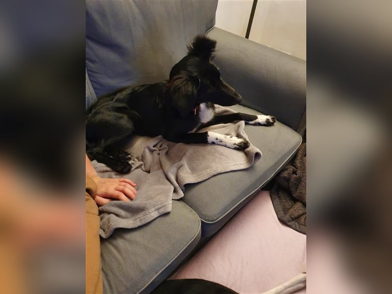 Suki aus Wuppertal