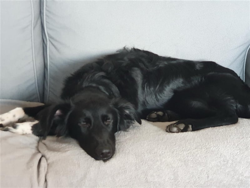 Suki aus Wuppertal