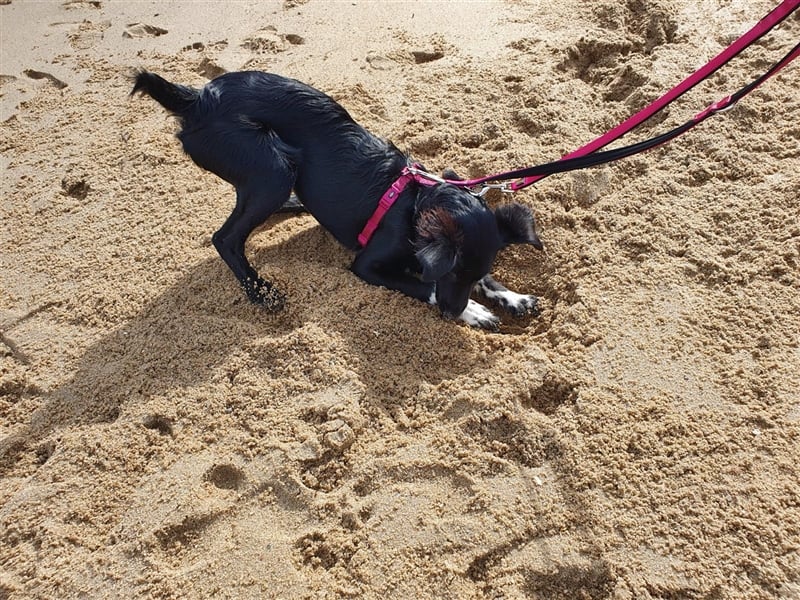 Suki aus Wuppertal