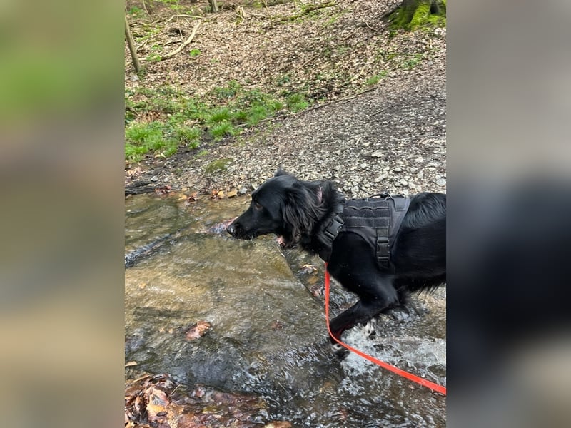 Suki aus Wuppertal