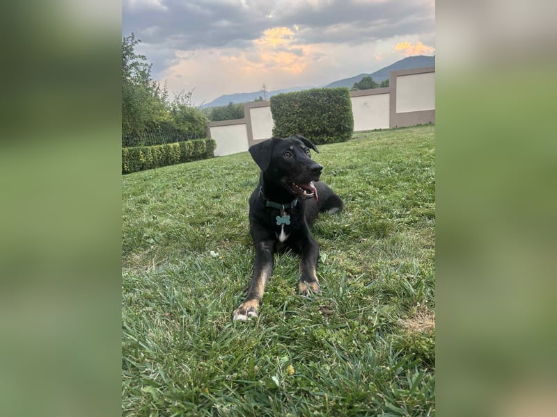 Zweiter Anlauf ins Glück: Ambo sucht seine Familie ❤️