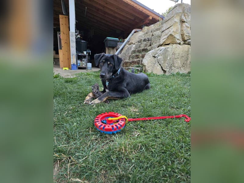 Zweiter Anlauf ins Glück: Ambo sucht seine Familie ❤️