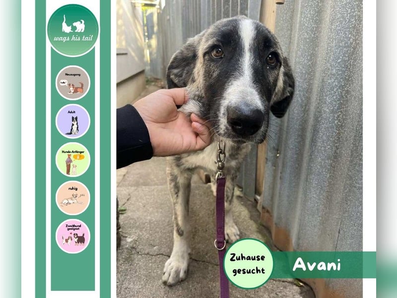 Avani – bereit für ihr neues Leben ❤️ Avani – bereit für ihr neues Leben ❤️