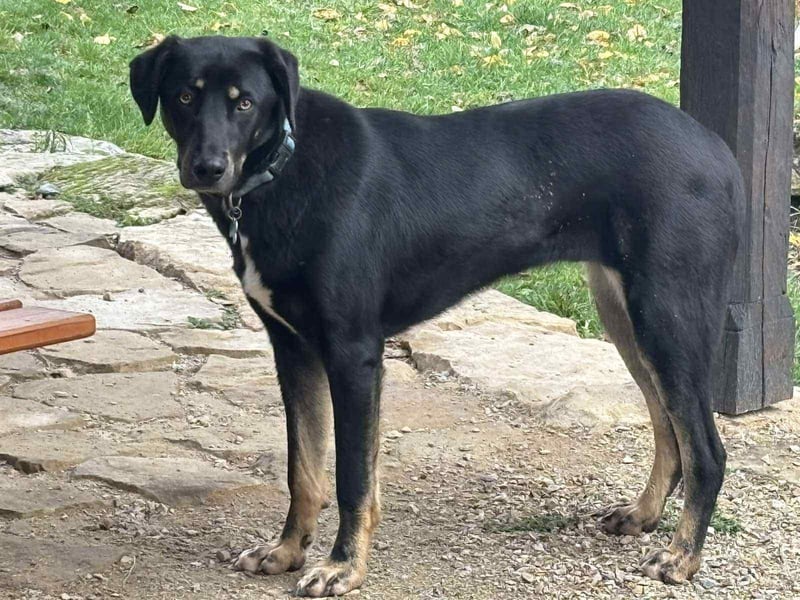 Zweiter Anlauf ins Glück: Ambo sucht seine Familie ❤️