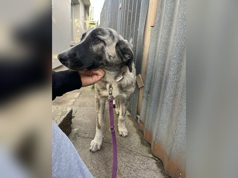 Avani – bereit für ihr neues Leben ❤️ Avani – bereit für ihr neues Leben ❤️