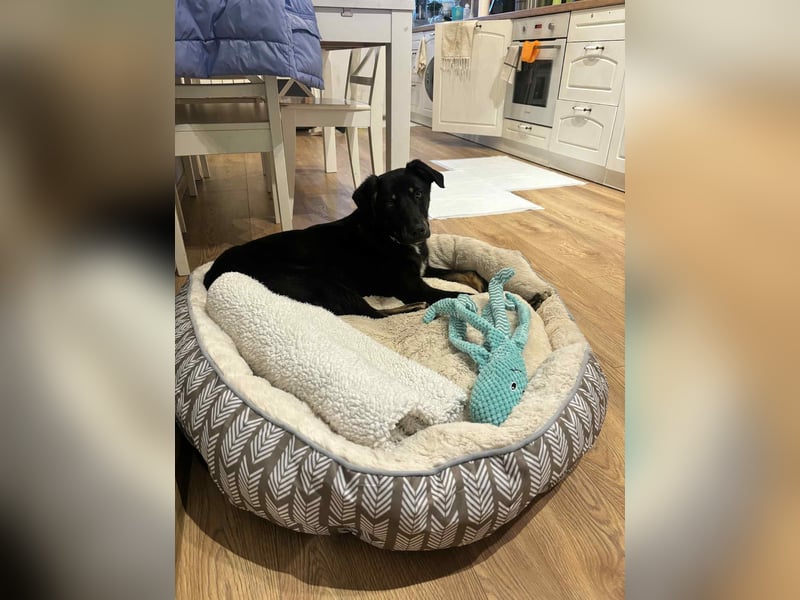 Zweiter Anlauf ins Glück: Ambo sucht seine Familie ❤️