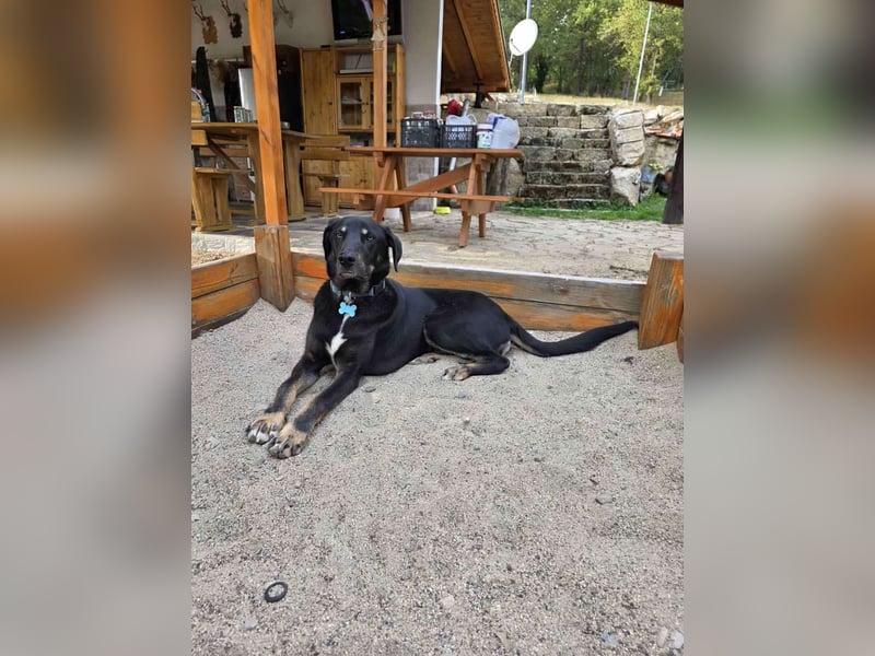 Zweiter Anlauf ins Glück: Ambo sucht seine Familie ❤️