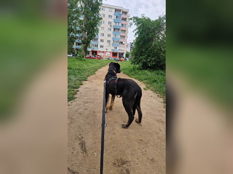 Zweiter Anlauf ins Glück: Ambo sucht seine Familie ❤️