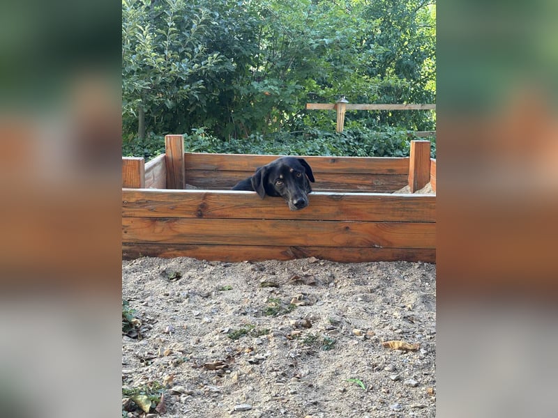 Zweiter Anlauf ins Glück: Ambo sucht seine Familie ❤️