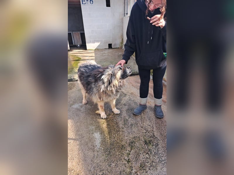 Argo sucht seine Menschen