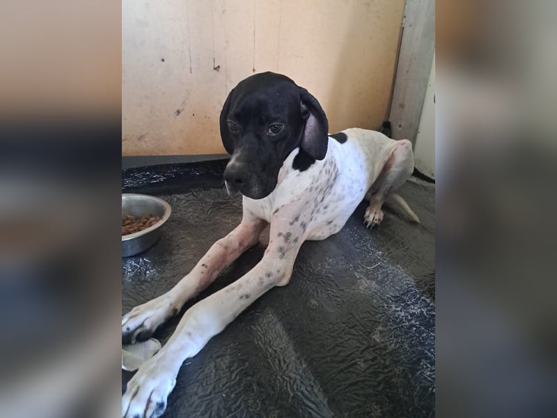 Lucio unser Kämpfer