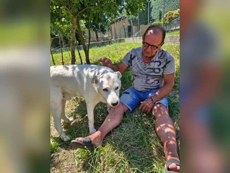 Casper sucht seine Herzensmenschen