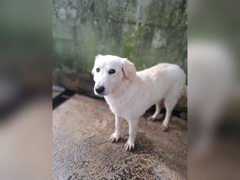 Adele möchte ankommen