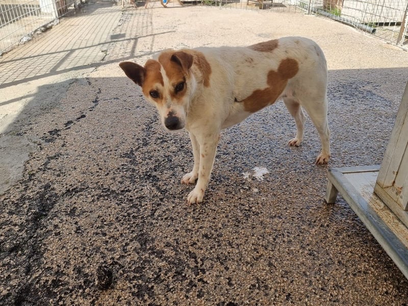 Zeta sucht dringend ihre Menschen