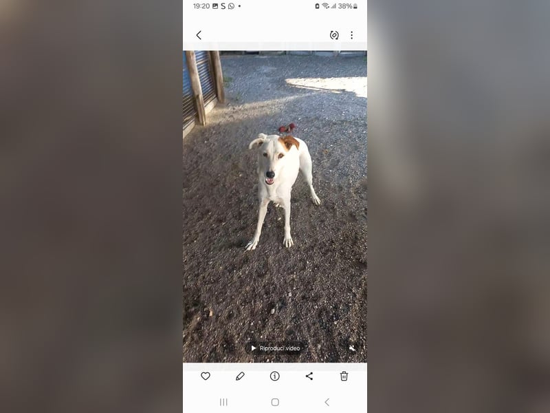 Paten für Max gesucht