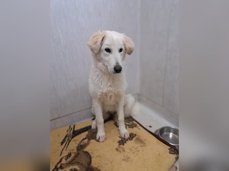 Adele möchte ankommen