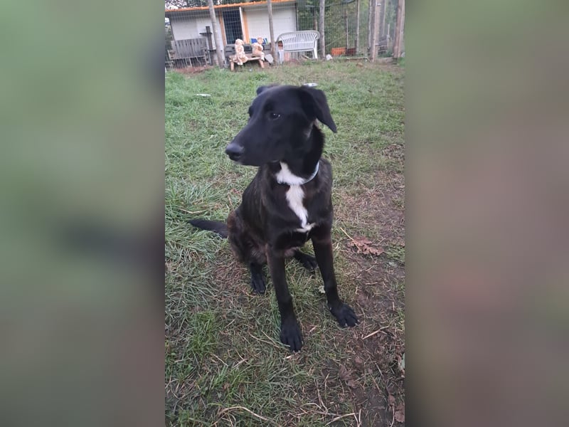 Fanny möchte ankommen